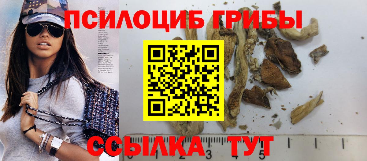 Псилоцибиновые грибы мухоморы  где продают   Благодарный  Вход с VPN 
